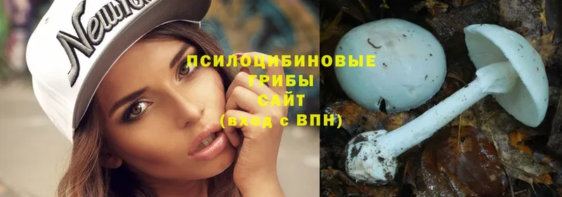 Псилоцибиновые грибы Magic Shrooms  продажа наркотиков  Верхняя Салда 